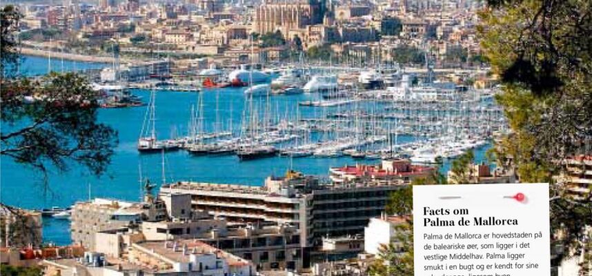 Insiderguide_til_Palma